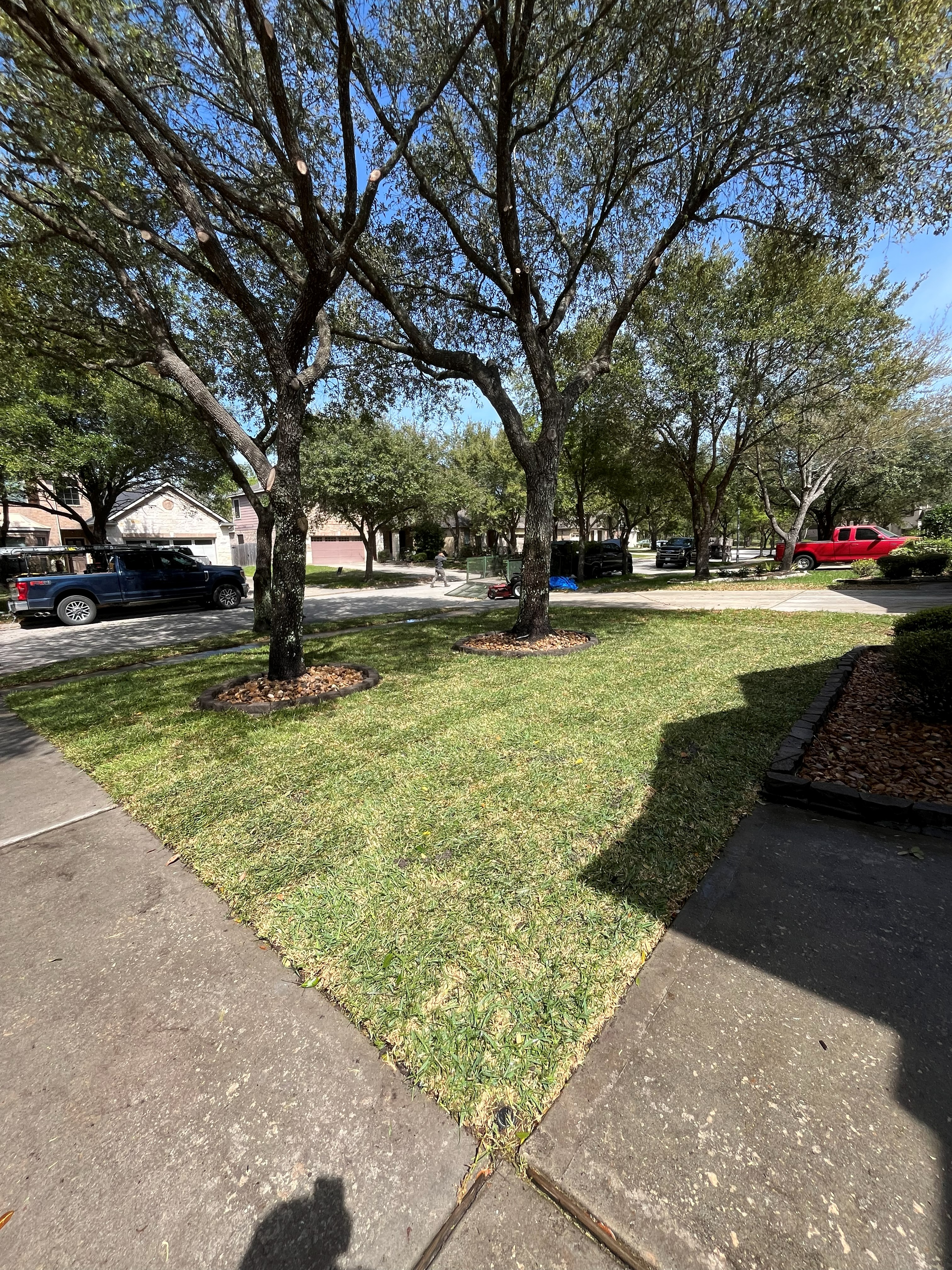 Sod installation Kingwood TX