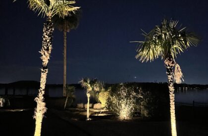 IMG_1293